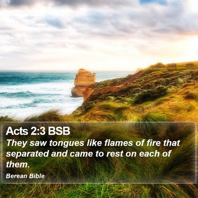Acts 2:3 BSB Bible Verse Image