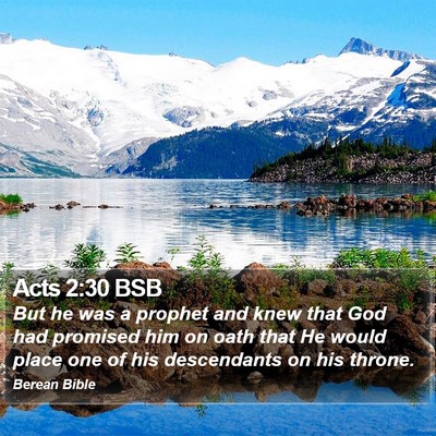 Acts 2:30 BSB Bible Verse Image
