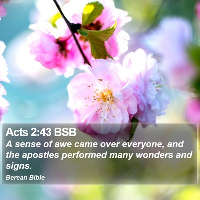 Acts 2:43 BSB Bible Verse Image