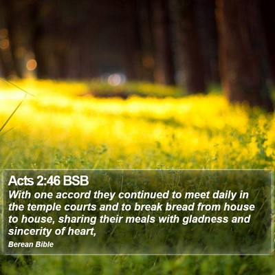 Acts 2:46 BSB Bible Verse Image
