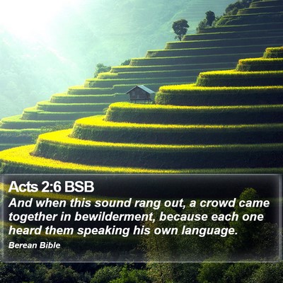 Acts 2:6 BSB Bible Verse Image