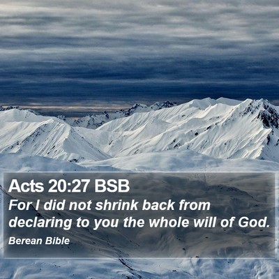 Acts 20:27 BSB Bible Verse Image