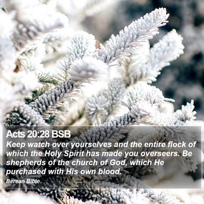Acts 20:28 BSB Bible Verse Image