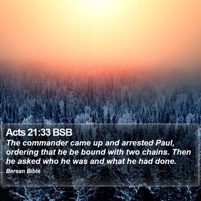 Acts 21:33 BSB Bible Verse Image