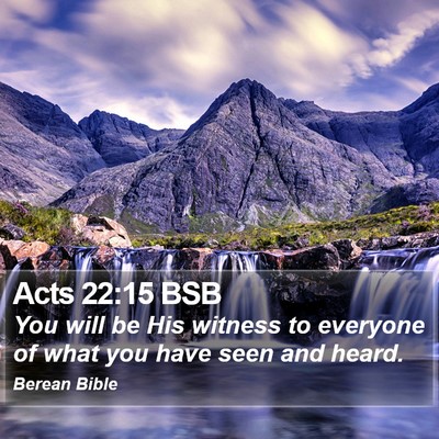 Acts 22:15 BSB Bible Verse Image