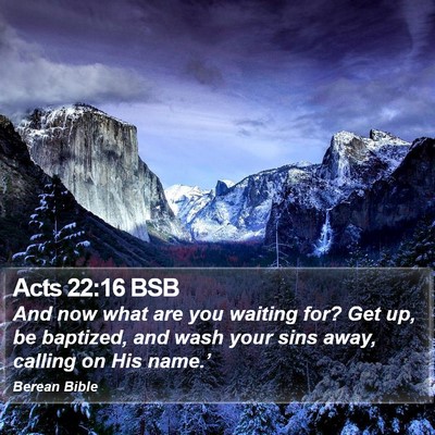 Acts 22:16 BSB Bible Verse Image