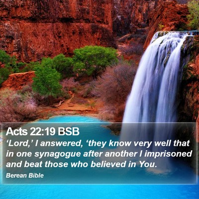 Acts 22:19 BSB Bible Verse Image