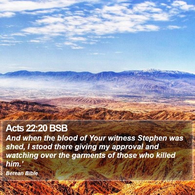 Acts 22:20 BSB Bible Verse Image