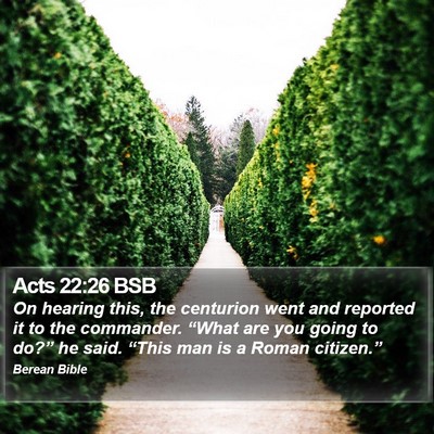 Acts 22:26 BSB Bible Verse Image