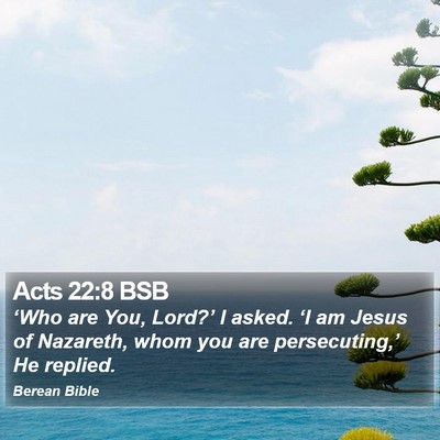 Acts 22:8 BSB Bible Verse Image