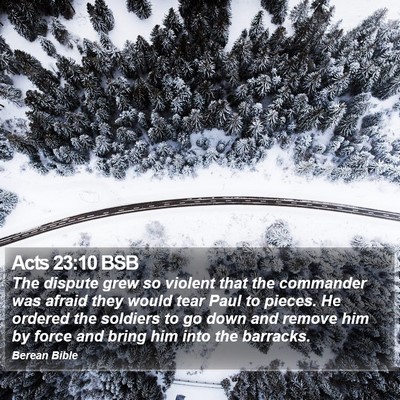 Acts 23:10 BSB Bible Verse Image