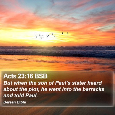 Acts 23:16 BSB Bible Verse Image