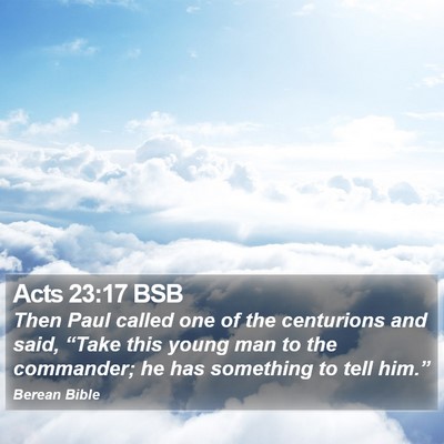 Acts 23:17 BSB Bible Verse Image