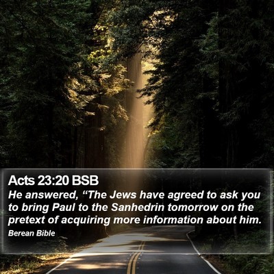 Acts 23:20 BSB Bible Verse Image