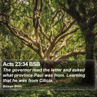 Acts 23:34 BSB Bible Verse Image
