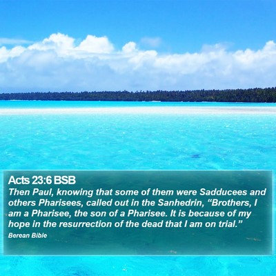 Acts 23:6 BSB Bible Verse Image