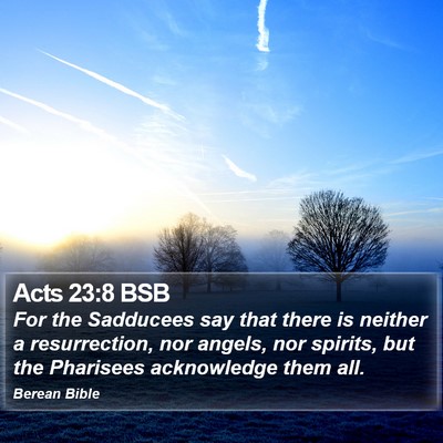 Acts 23:8 BSB Bible Verse Image