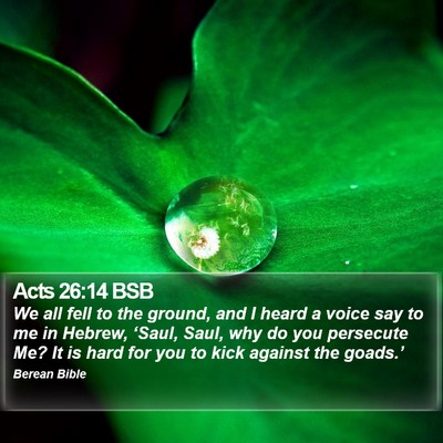 Acts 26:14 BSB Bible Verse Image