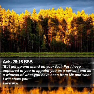 Acts 26:16 BSB Bible Verse Image
