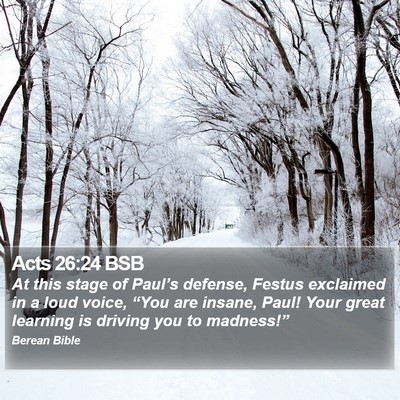 Acts 26:24 BSB Bible Verse Image