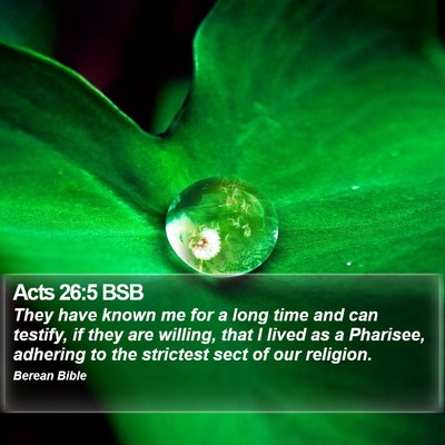 Acts 26:5 BSB Bible Verse Image