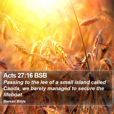 Acts 27:16 BSB Bible Verse Image
