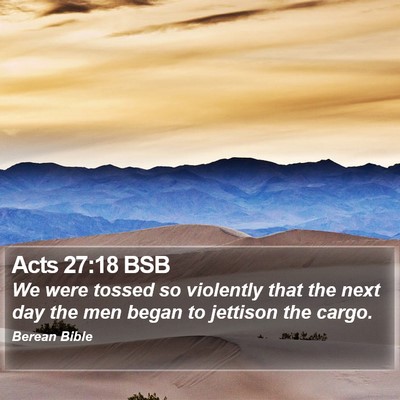Acts 27:18 BSB Bible Verse Image