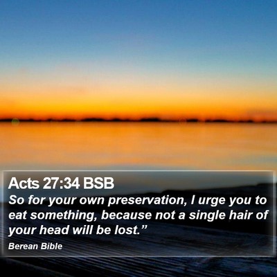 Acts 27:34 BSB Bible Verse Image