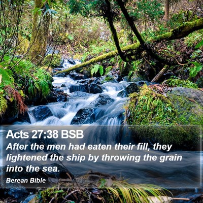Acts 27:38 BSB Bible Verse Image