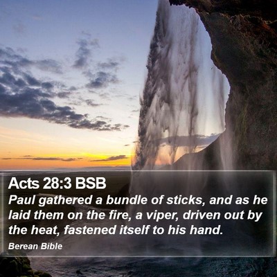 Acts 28:3 BSB Bible Verse Image