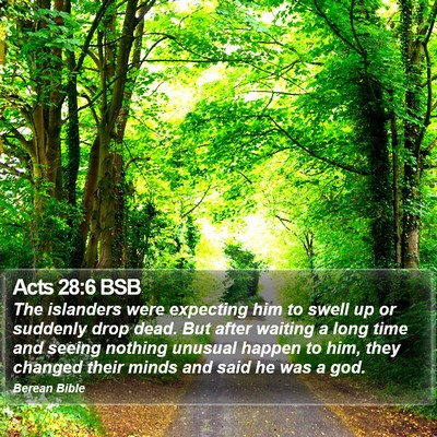 Acts 28:6 BSB Bible Verse Image