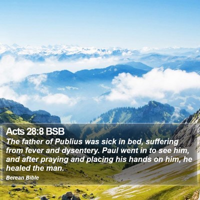 Acts 28:8 BSB Bible Verse Image