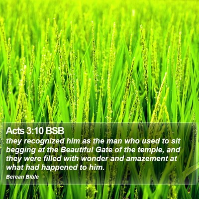 Acts 3:10 BSB Bible Verse Image