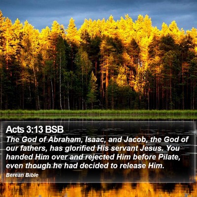 Acts 3:13 BSB Bible Verse Image