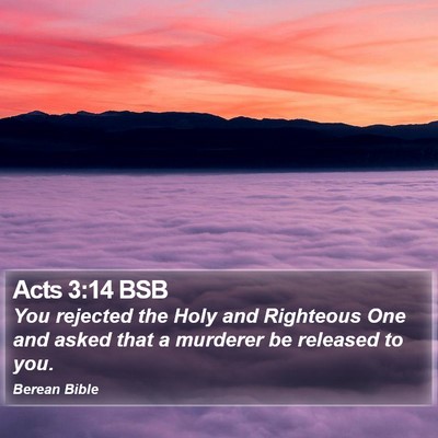 Acts 3:14 BSB Bible Verse Image
