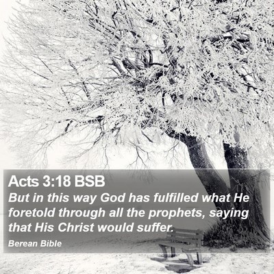 Acts 3:18 BSB Bible Verse Image