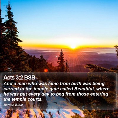 Acts 3:2 BSB Bible Verse Image