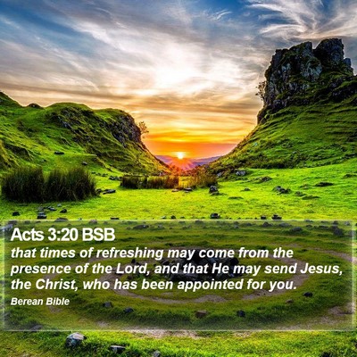 Acts 3:20 BSB Bible Verse Image