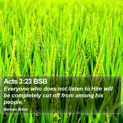 Acts 3:23 BSB Bible Verse Image