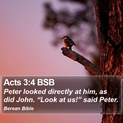 Acts 3:4 BSB Bible Verse Image