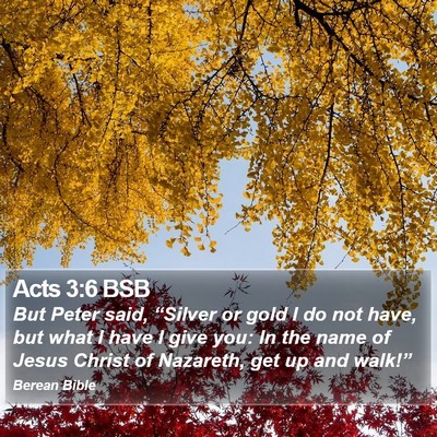 Acts 3:6 BSB Bible Verse Image