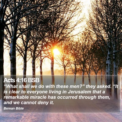 Acts 4:16 BSB Bible Verse Image