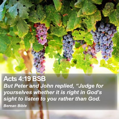 Acts 4:19 BSB Bible Verse Image