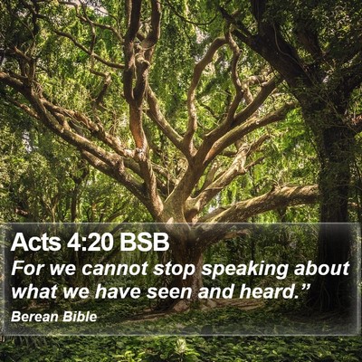 Acts 4:20 BSB Bible Verse Image