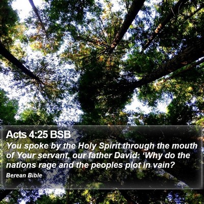 Acts 4:25 BSB Bible Verse Image