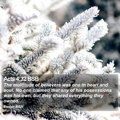 Acts 4:32 BSB Bible Verse Image