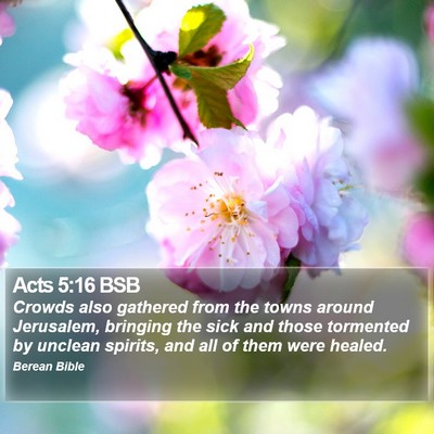 Acts 5:16 BSB Bible Verse Image