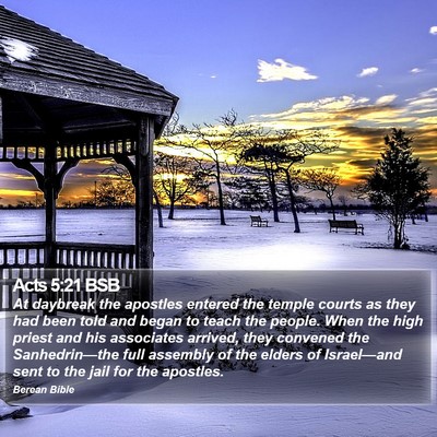 Acts 5:21 BSB Bible Verse Image