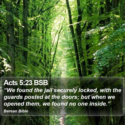 Acts 5:23 BSB Bible Verse Image