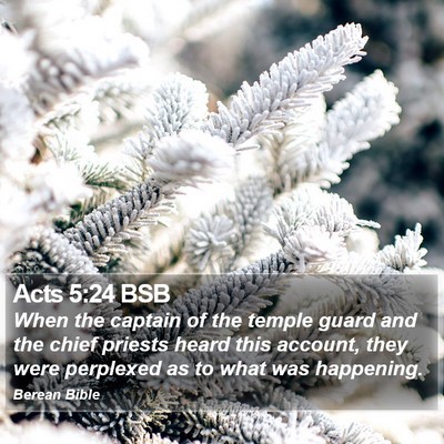 Acts 5:24 BSB Bible Verse Image